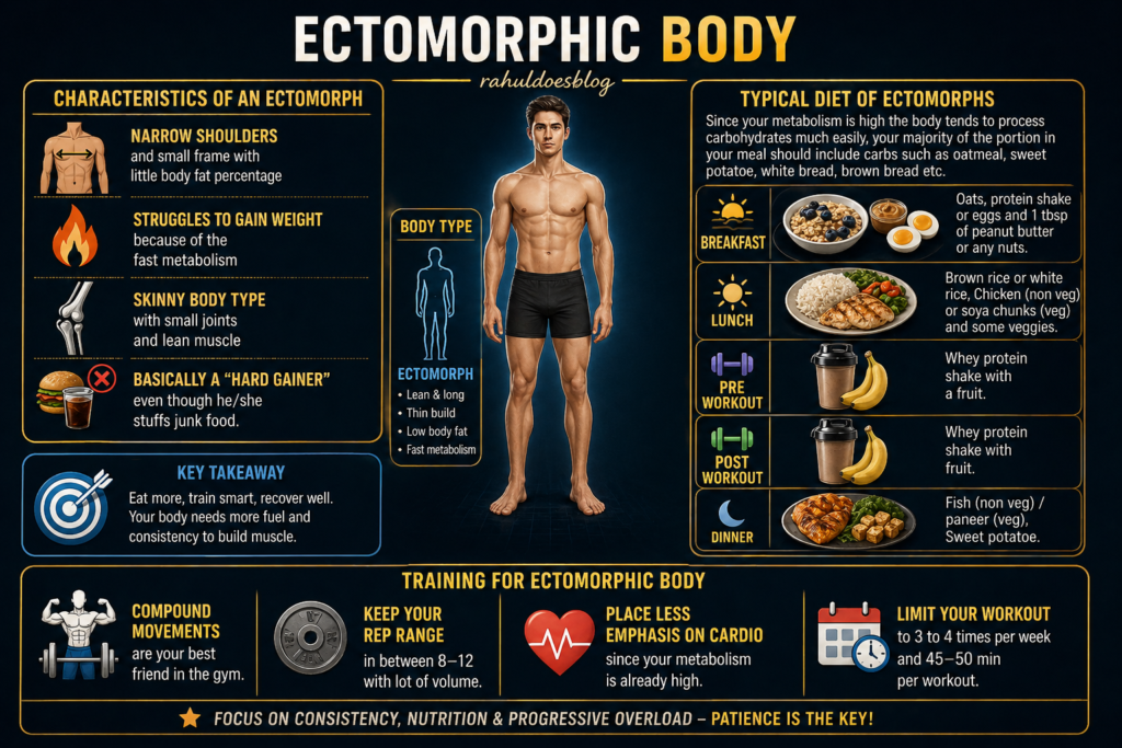 "Ectomorphic body type infographic showing muscular male physique, characteristics of mesomorphs, balanced diet plan with meals (oats, rice, chicken, protein shakes), and training guidelines including weight training, cardio, compound and isolation exercises for muscle growth and fat management.”