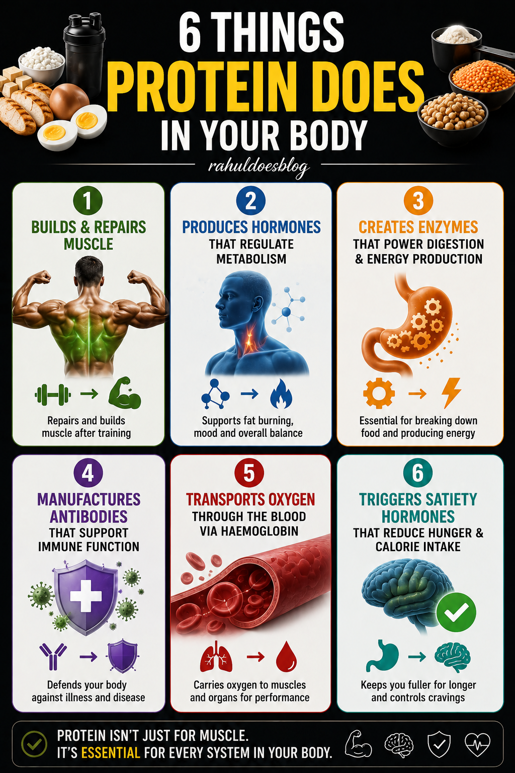 "6 Things Protein Does in Your Body" — Function visual card